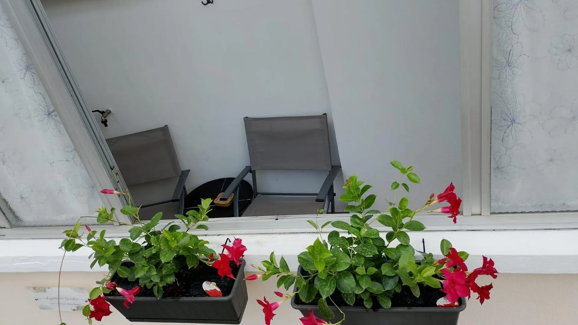 דירה Castiglione Olona Appartamento Orchidea